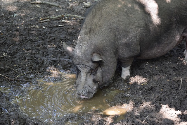 成为了媒体 成为了媒体