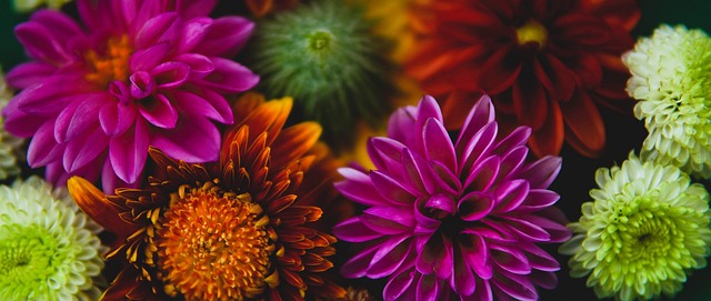 郑智的存在 郑智的存在