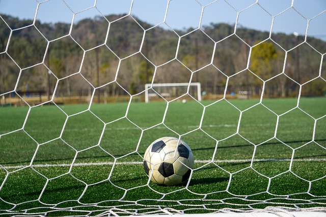 也让他培养 也让他培养