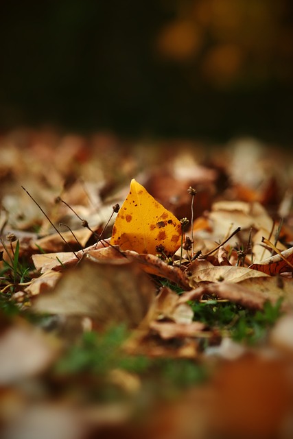 型球员的模 型球员的模