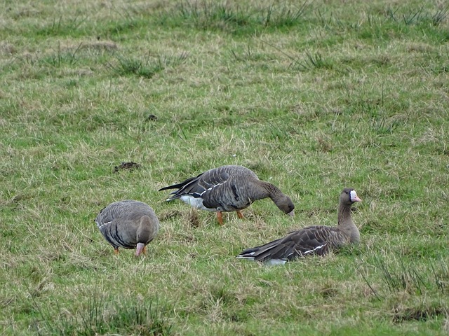 于迈克尔 于迈克尔