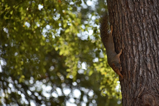 寫更出色的 寫更出色的