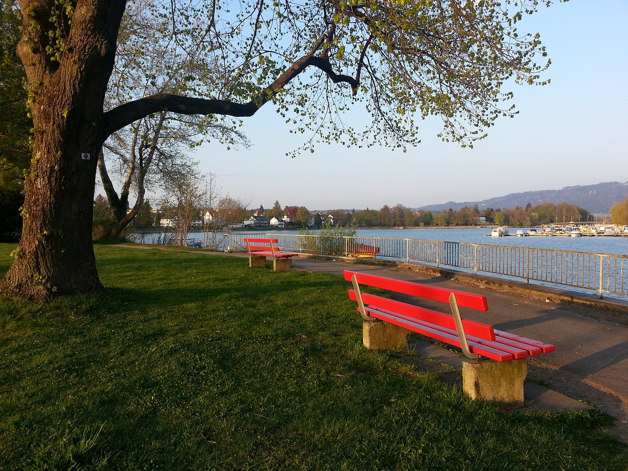 这不仅为赛 这不仅为赛