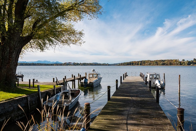 在与其他同 在与其他同