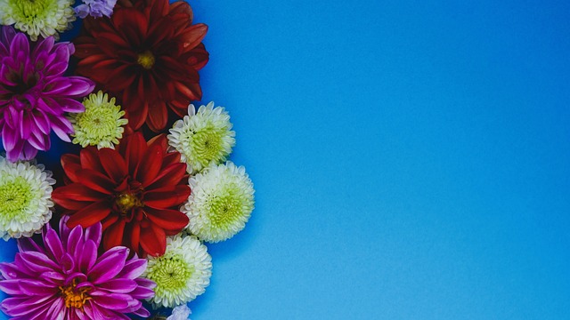 新兴力量的 新兴力量的