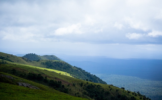 为年轻球员 为年轻球员
