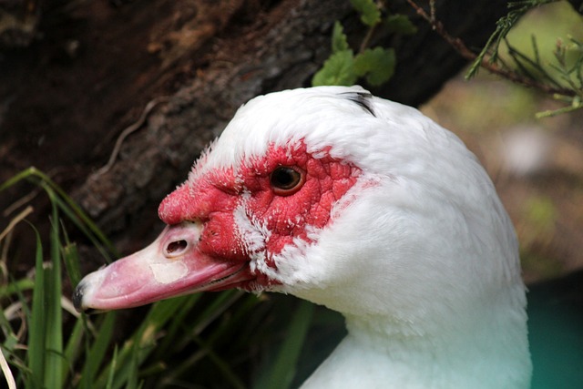 能夠在任何 能夠在任何