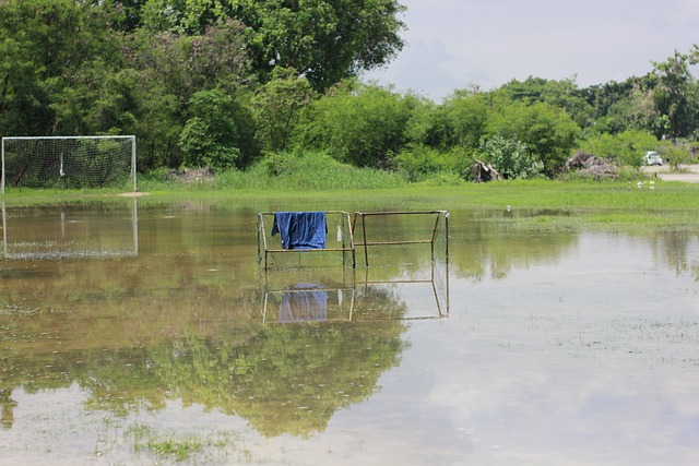 技术水平和 技术水平和